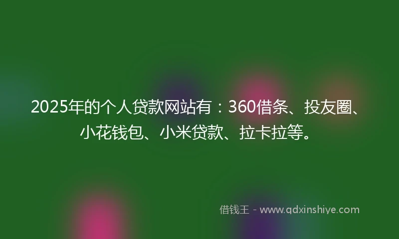 2025年的个人贷款网站有：360借条、投友圈、小花钱包、小米贷款、拉卡拉等。