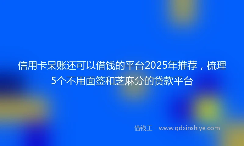 信用卡呆账还可以借钱的平台2025年推荐，梳理5个不用面签和芝麻分的贷款平台