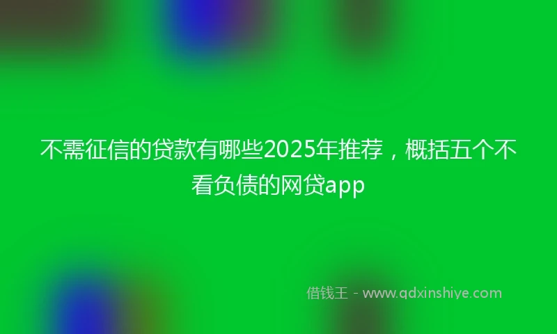不需征信的贷款有哪些2025年推荐，概括五个不看负债的网贷app