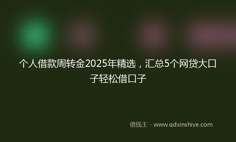 个人借款周转金2025年精选，汇总5个网贷大口子轻松借口子