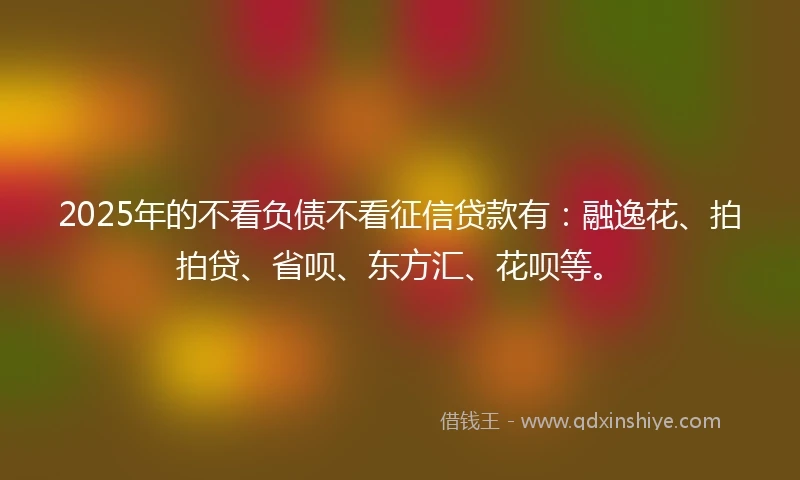 2025年的不看负债不看征信贷款有：融逸花、拍拍贷、省呗、东方汇、花呗等。