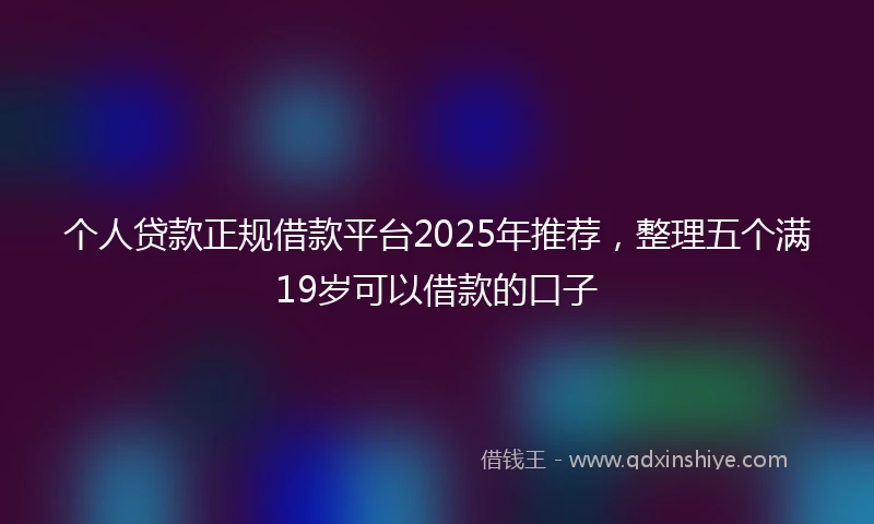 个人贷款正规借款平台2025年推荐，整理五个满19岁可以借款的口子