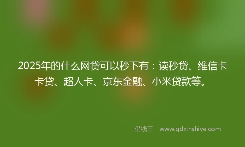 2025年的什么网贷可以秒下有：读秒贷、维信卡卡贷、超人卡、京东金融、小米贷款等。