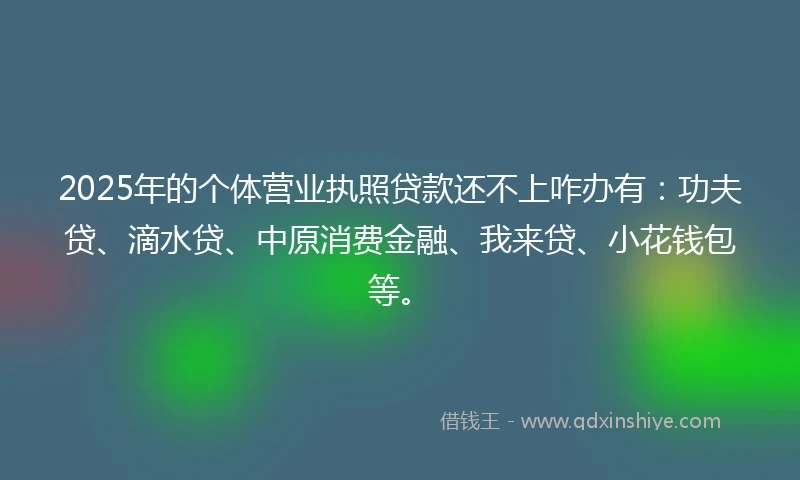 2025年的个体营业执照贷款还不上咋办有：功夫贷、滴水贷、中原消费金融、我来贷、小花钱包等。