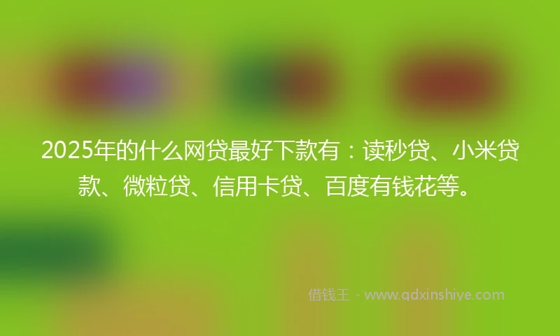 2025年的什么网贷最好下款有：读秒贷、小米贷款、微粒贷、信用卡贷、百度有钱花等。
