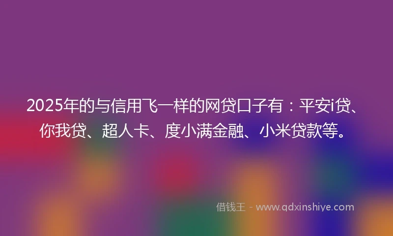 2025年的与信用飞一样的网贷口子有：平安i贷、你我贷、超人卡、度小满金融、小米贷款等。