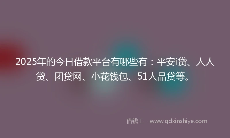 2025年的今日借款平台有哪些有：平安i贷、人人贷、团贷网、小花钱包、51人品贷等。