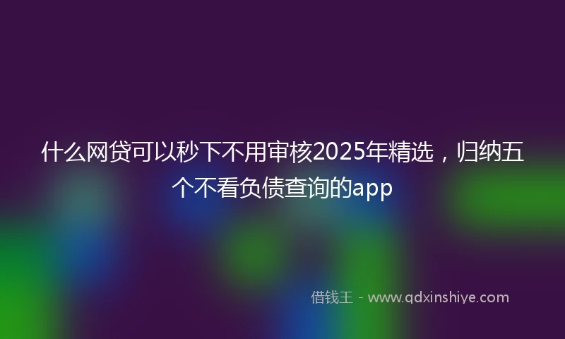 什么网贷可以秒下不用审核2025年精选，归纳五个不看负债查询的app