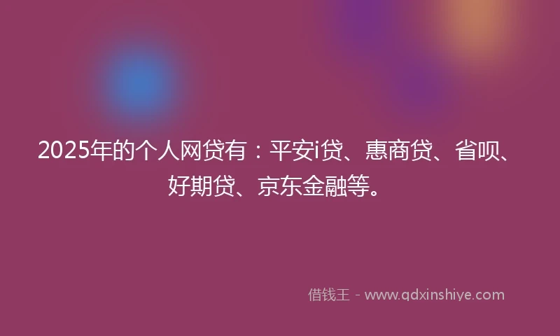 2025年的个人网贷有：平安i贷、惠商贷、省呗、好期贷、京东金融等。