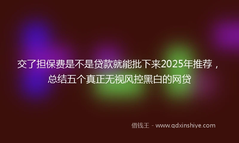 交了担保费是不是贷款就能批下来2025年推荐，总结五个真正无视风控黑白的网贷
