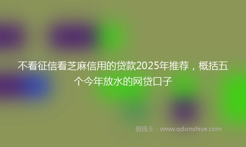 不看征信看芝麻信用的贷款2025年推荐，概括五个今年放水的网贷口子