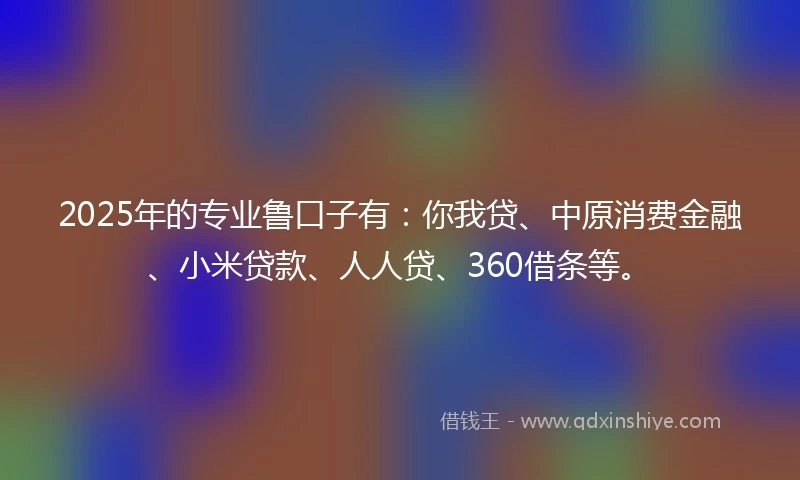 2025年的专业鲁口子有：你我贷、中原消费金融、小米贷款、人人贷、360借条等。