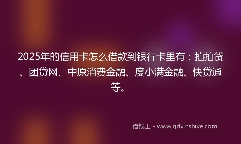 2025年的信用卡怎么借款到银行卡里有：拍拍贷、团贷网、中原消费金融、度小满金融、快贷通等。