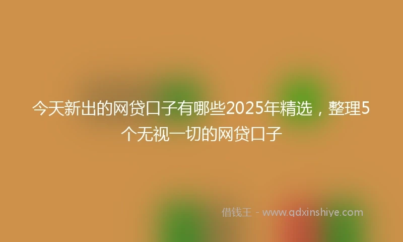 今天新出的网贷口子有哪些2025年精选，整理5个无视一切的网贷口子