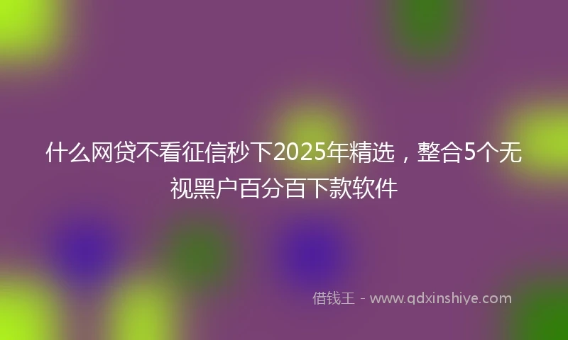 什么网贷不看征信秒下2025年精选，整合5个无视黑户百分百下款软件