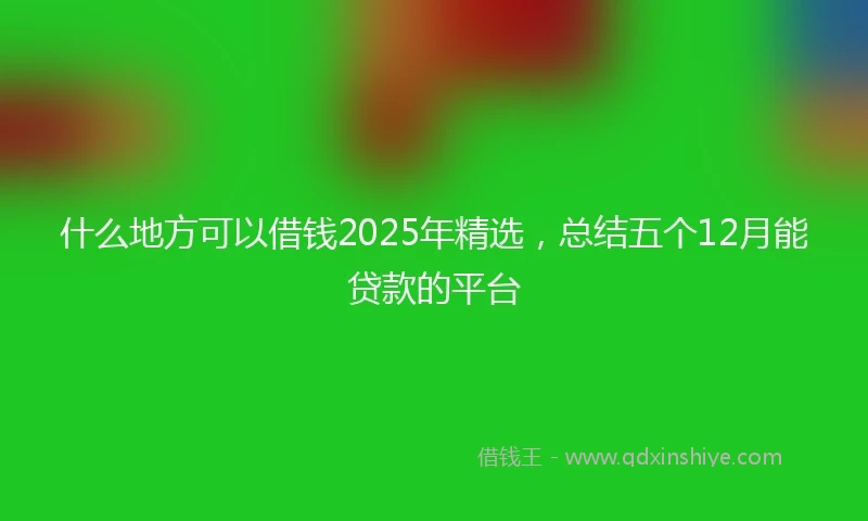 什么地方可以借钱2025年精选，总结五个12月能贷款的平台