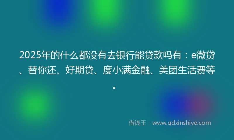 2025年的什么都没有去银行能贷款吗有：e微贷、替你还、好期贷、度小满金融、美团生活费等。