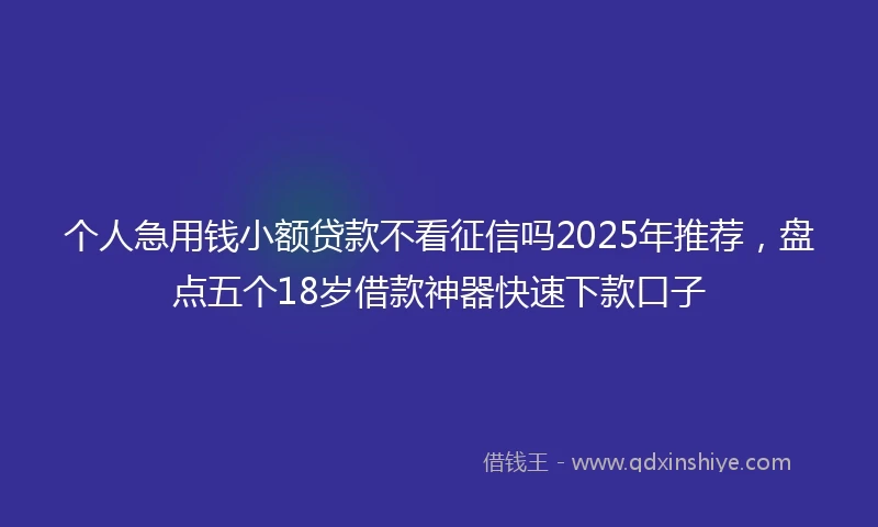 个人急用钱小额贷款不看征信吗2025年推荐，盘点五个18岁借款神器快速下款口子