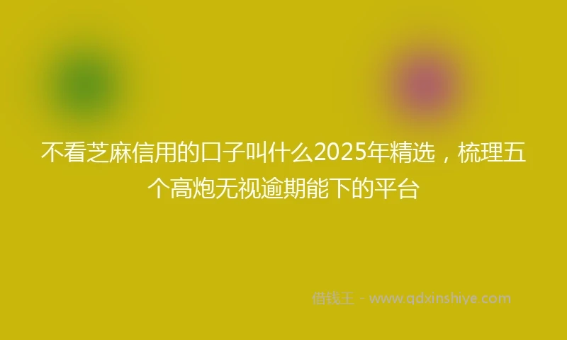 不看芝麻信用的口子叫什么2025年精选，梳理五个高炮无视逾期能下的平台