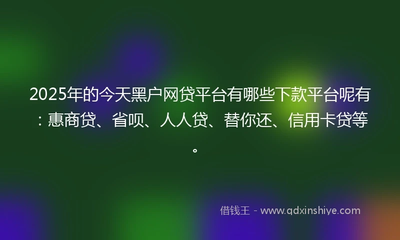 2025年的今天黑户网贷平台有哪些下款平台呢有：惠商贷、省呗、人人贷、替你还、信用卡贷等。