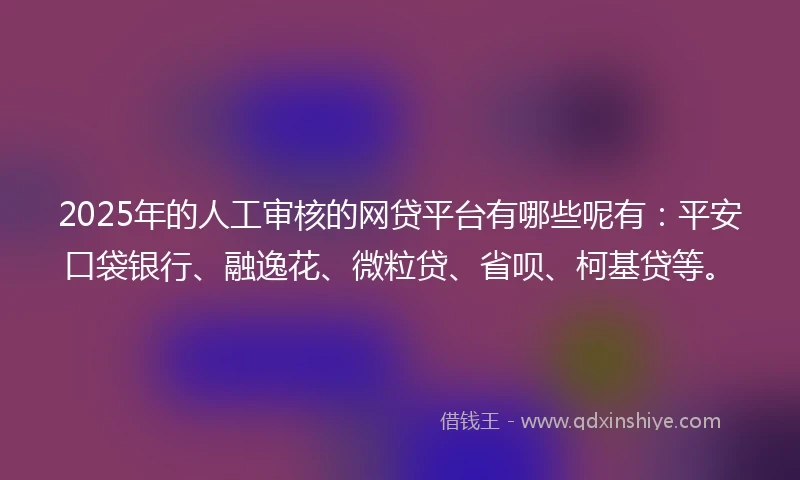 2025年的人工审核的网贷平台有哪些呢有：平安口袋银行、融逸花、微粒贷、省呗、柯基贷等。