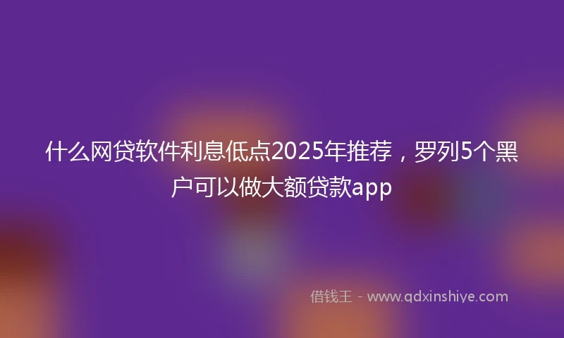什么网贷软件利息低点2025年推荐，罗列5个黑户可以做大额贷款app