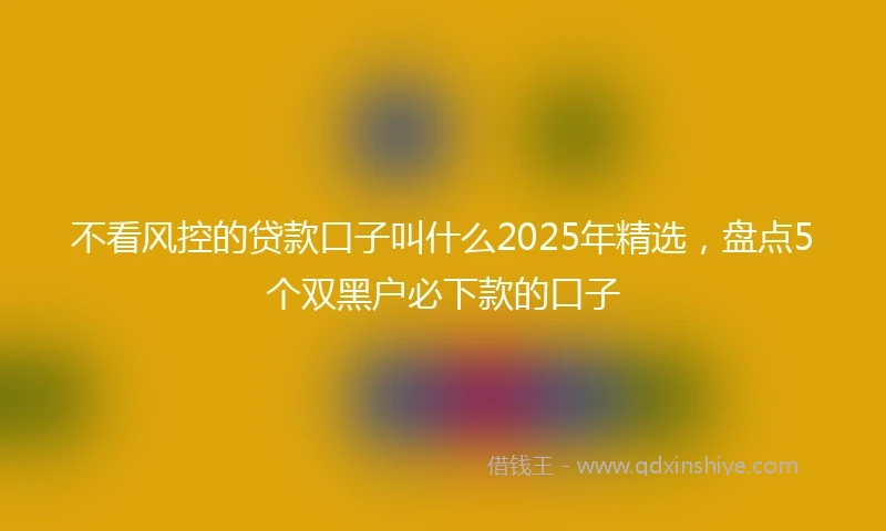 不看风控的贷款口子叫什么2025年精选，盘点5个双黑户必下款的口子