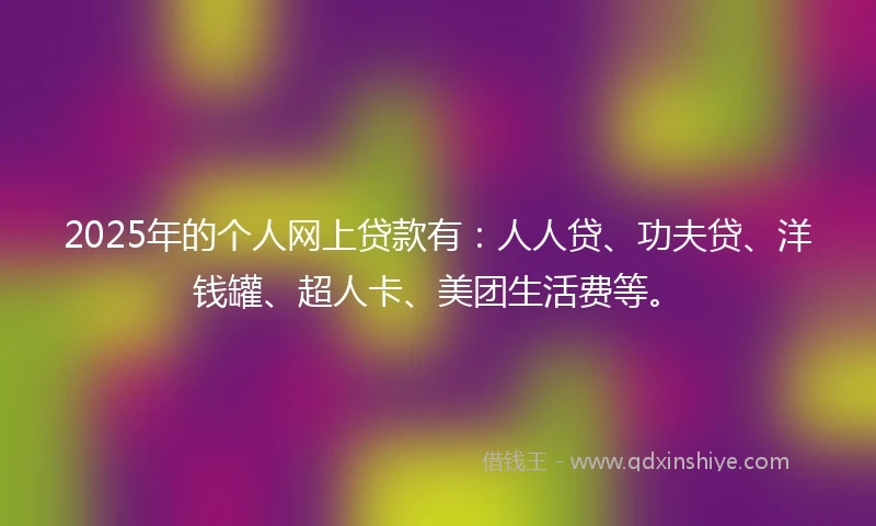 2025年的个人网上贷款有：人人贷、功夫贷、洋钱罐、超人卡、美团生活费等。