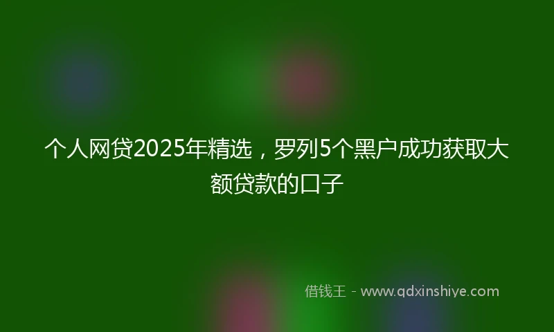 个人网贷2025年精选，罗列5个黑户成功获取大额贷款的口子