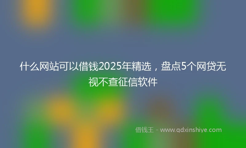 什么网站可以借钱2025年精选，盘点5个网贷无视不查征信软件