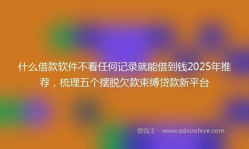 什么借款软件不看任何记录就能借到钱2025年推荐，梳理五个摆脱欠款束缚贷款新平台