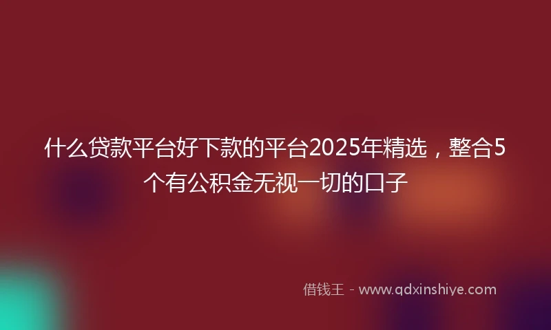 什么贷款平台好下款的平台2025年精选，整合5个有公积金无视一切的口子