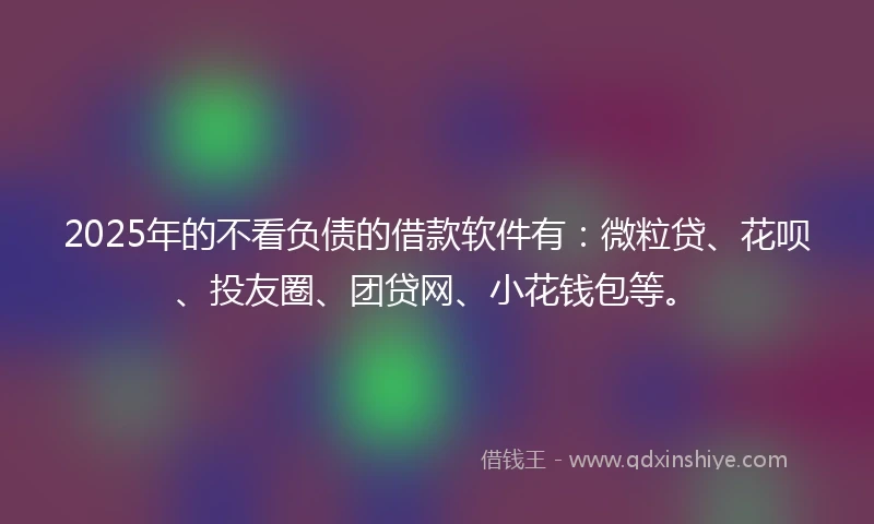 2025年的不看负债的借款软件有：微粒贷、花呗、投友圈、团贷网、小花钱包等。