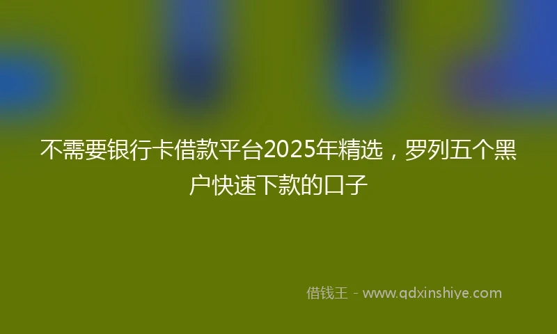 不需要银行卡借款平台2025年精选，罗列五个黑户快速下款的口子