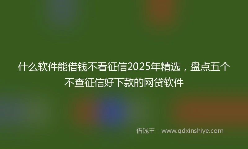 什么软件能借钱不看征信2025年精选，盘点五个不查征信好下款的网贷软件
