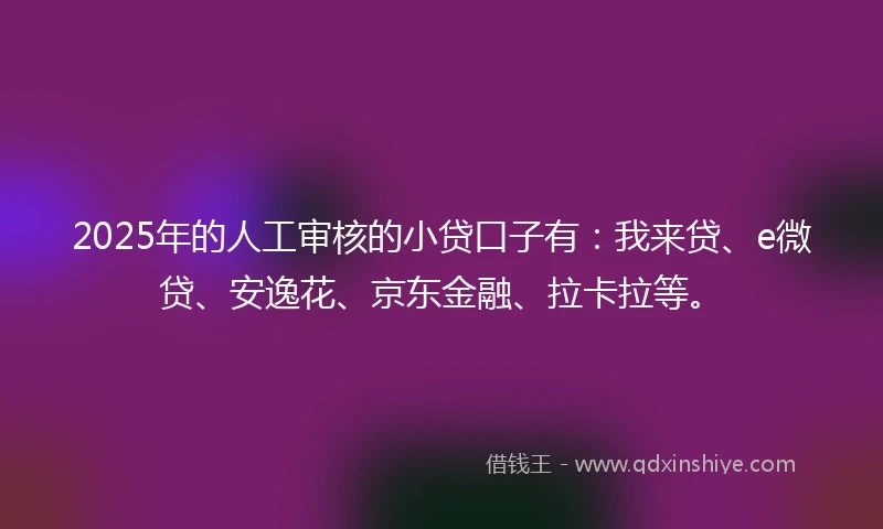 2025年的人工审核的小贷口子有：我来贷、e微贷、安逸花、京东金融、拉卡拉等。