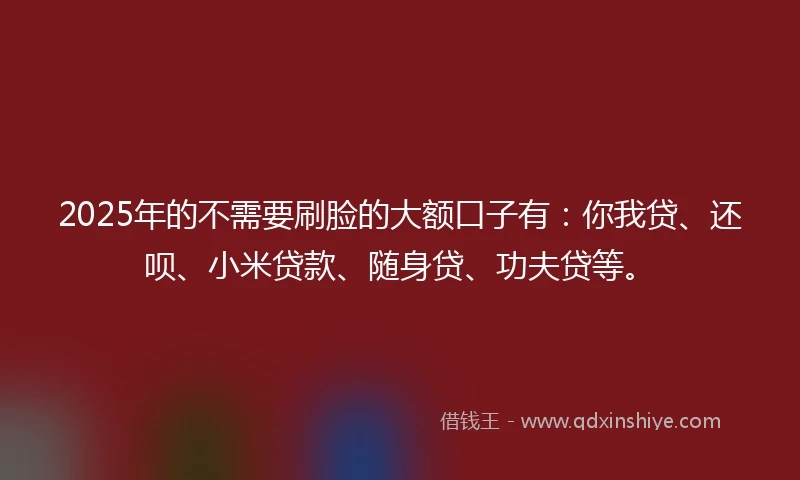 2025年的不需要刷脸的大额口子有：你我贷、还呗、小米贷款、随身贷、功夫贷等。