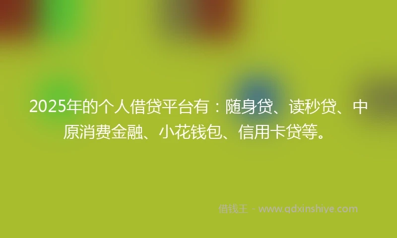 2025年的个人借贷平台有：随身贷、读秒贷、中原消费金融、小花钱包、信用卡贷等。