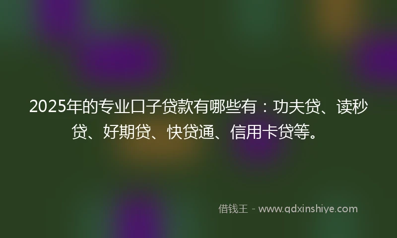 2025年的专业口子贷款有哪些有：功夫贷、读秒贷、好期贷、快贷通、信用卡贷等。