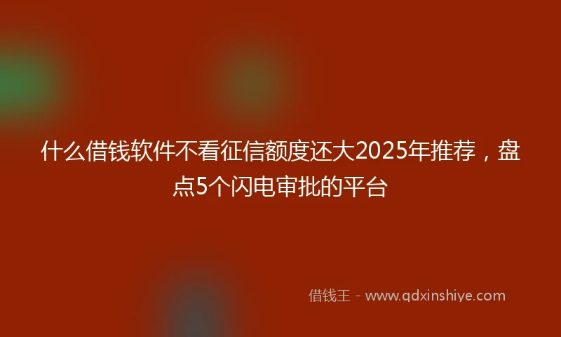 什么借钱软件不看征信额度还大2025年推荐，盘点5个闪电审批的平台