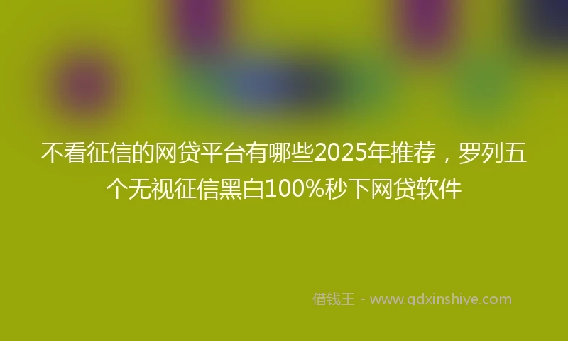 不看征信的网贷平台有哪些2025年推荐，罗列五个无视征信黑白100%秒下网贷软件