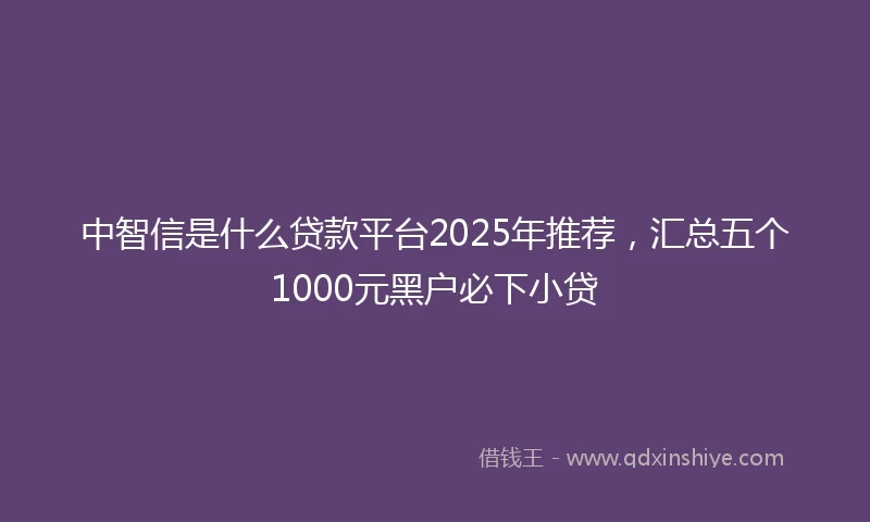 中智信是什么贷款平台2025年推荐，汇总五个1000元黑户必下小贷