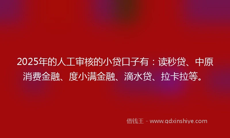 2025年的人工审核的小贷口子有：读秒贷、中原消费金融、度小满金融、滴水贷、拉卡拉等。
