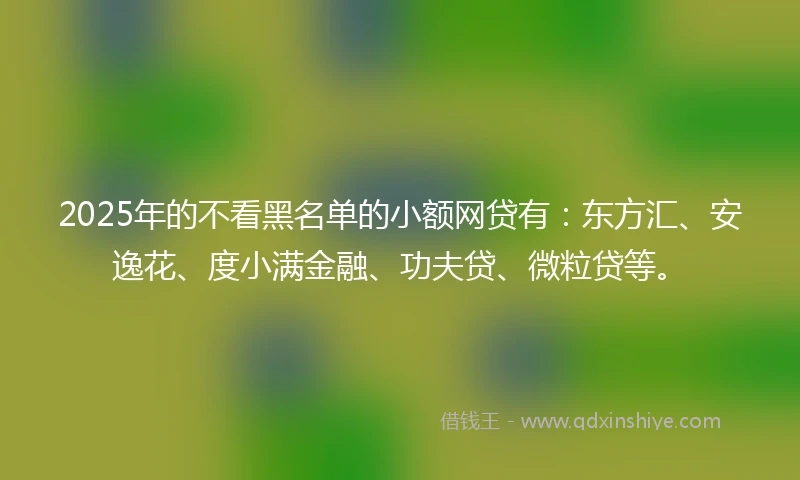 2025年的不看黑名单的小额网贷有：东方汇、安逸花、度小满金融、功夫贷、微粒贷等。