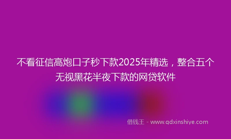 不看征信高炮口子秒下款2025年精选，整合五个无视黑花半夜下款的网贷软件