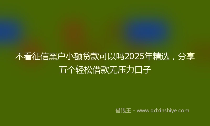不看征信黑户小额贷款可以吗2025年精选，分享五个轻松借款无压力口子
