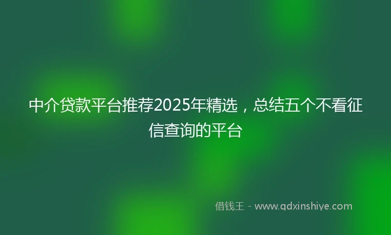 中介贷款平台推荐2025年精选，总结五个不看征信查询的平台