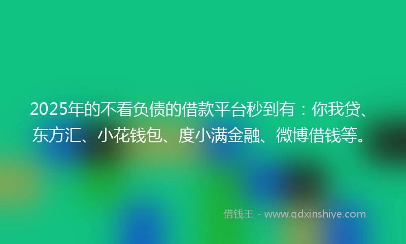 2025年的不看负债的借款平台秒到有：你我贷、东方汇、小花钱包、度小满金融、微博借钱等。