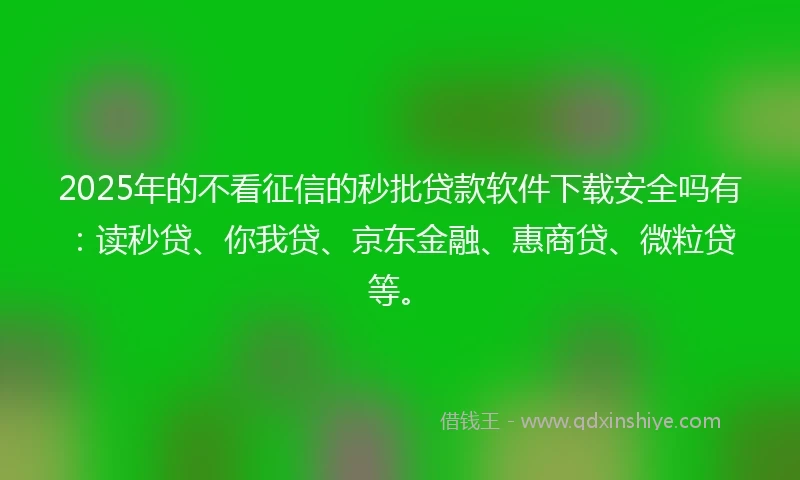 2025年的不看征信的秒批贷款软件下载安全吗有：读秒贷、你我贷、京东金融、惠商贷、微粒贷等。