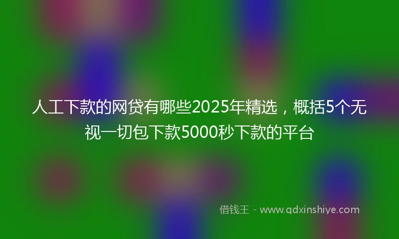 人工下款的网贷有哪些2025年精选，概括5个无视一切包下款5000秒下款的平台